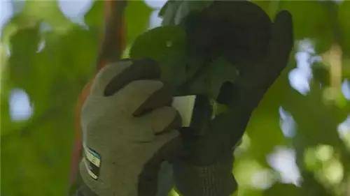 唯獨(dú)這些抓人眼球的戶外廣告才配叫創(chuàng)意！標(biāo)識主也滿意10