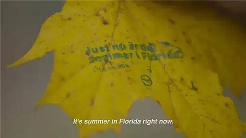 唯有這些抓人眼球的戶外廣告才配叫創(chuàng)意！標(biāo)識主也滿意11