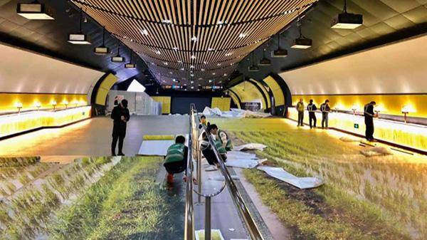 這一些室外廣告的創(chuàng)意你喜好嗎？17