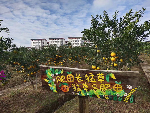 橙里城外廣告牌標(biāo)識升級換新