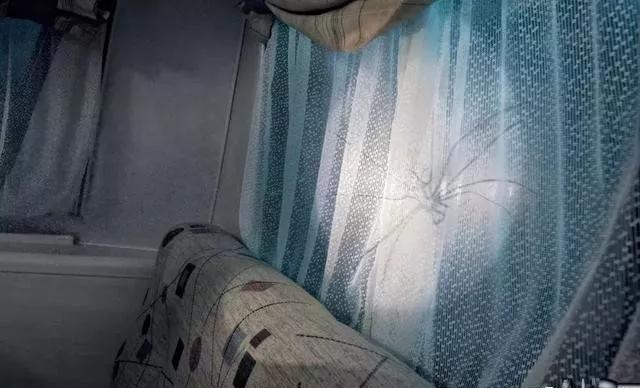 最果的戶外廣告！創(chuàng)意是靈魂35