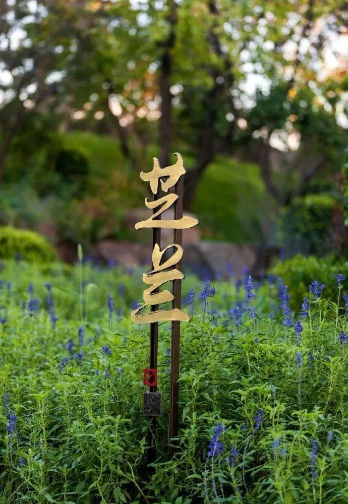 中國風(fēng)標志標牌案例分享，美15