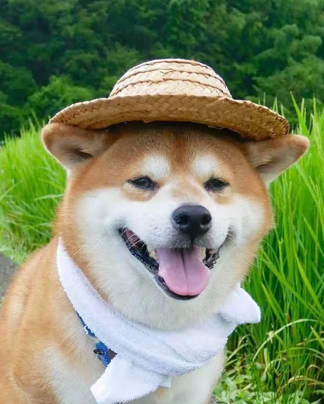 中國路邊的戶外廣告牌，我能笑一年16