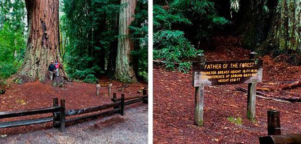 “旅游化”的標識系統(tǒng)，讓標志牌作為景區(qū)里的特殊風景11