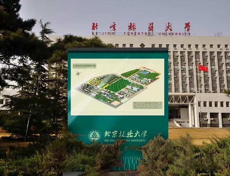 “為人而生”的城市導(dǎo)向標識計劃